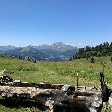 Chalet Yuki Morzine Exterior foto