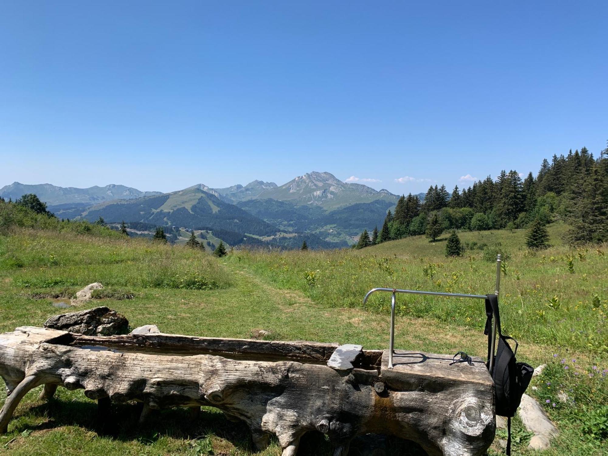 Chalet Yuki Morzine Exterior foto